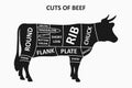 Cuts of beef scheme with cow. Meat cuts poster for butcher shop. Vector. Royalty Free Stock Photo